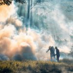 Dinas Damkar Pangkalpinang Bersihkan Material Longsor di Hutan Kota